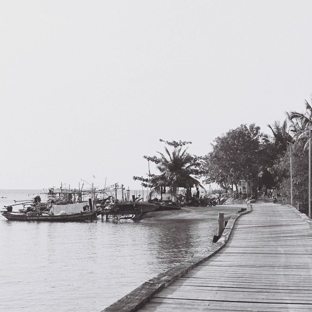 Before the Next Tide